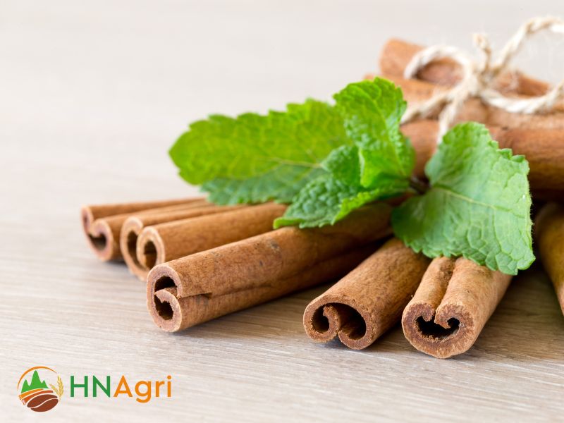hanoi-cinnamon-a-brand-of-excellence-in-vietnamese-agriculture-products-3