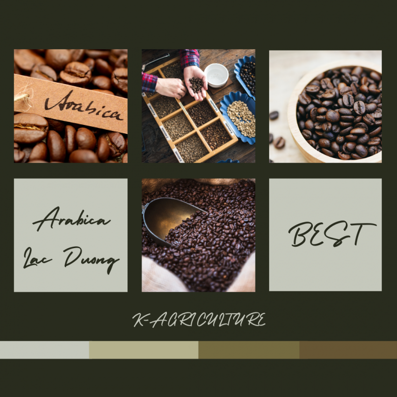 arabica-lac-duong-coffee-thumbnail