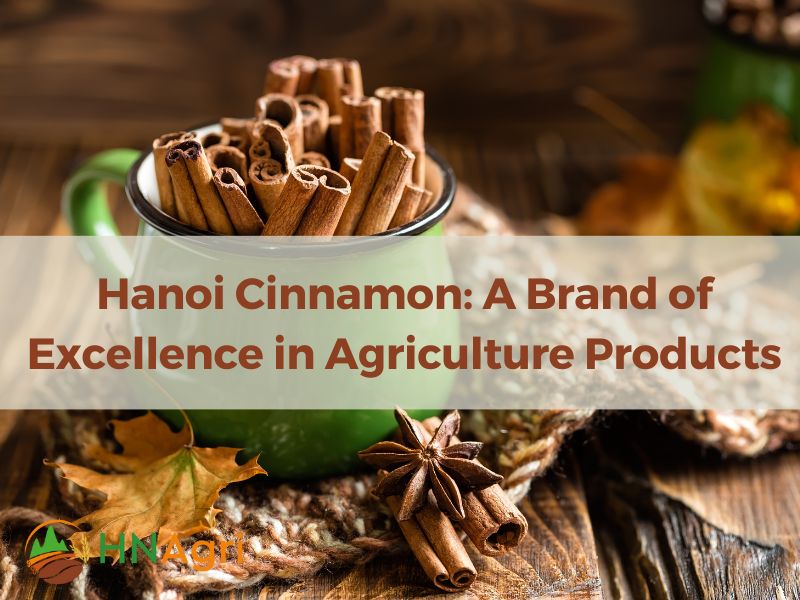 hanoi-cinnamon-a-brand-of-excellence-in-vietnamese-agriculture-products-1