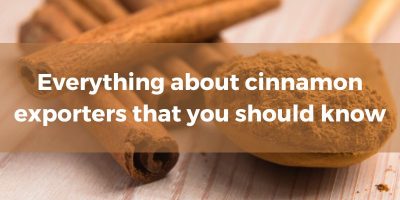 everything-about-cinnamon-exporters-that-you-should-know-1