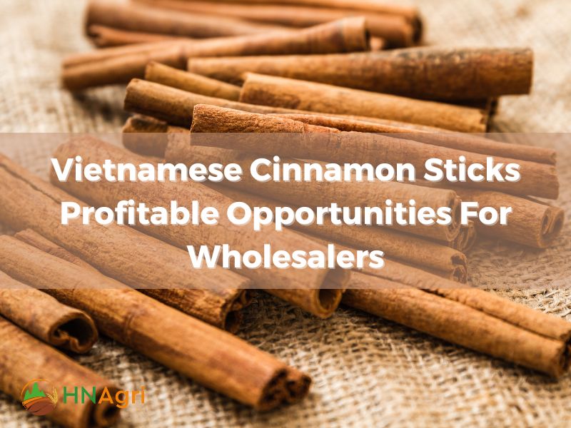 vietnamese-cinnamon-sticks-profitable-opportunities-for-wholesalers-1